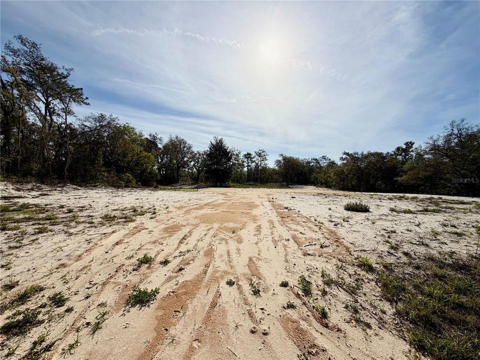 Active With Contract: $55,000 (1.16 acres)