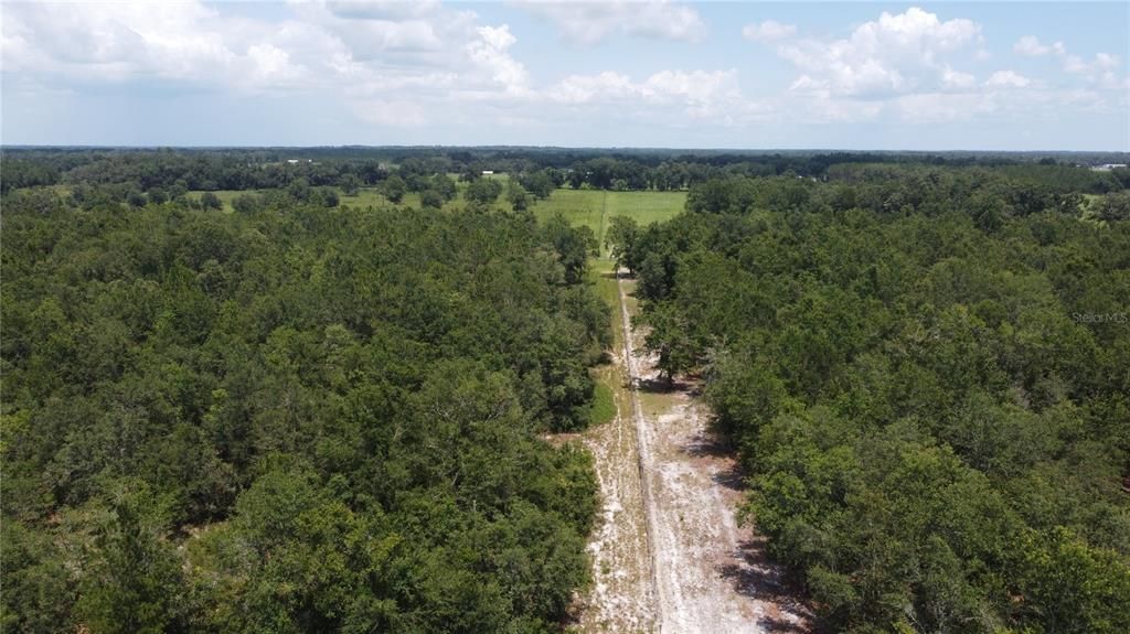 待售: $1,952,535 (205.53 acres)