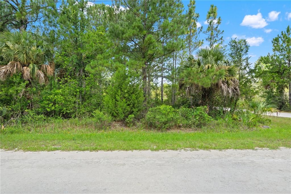 На продажу: $44,900 (1.21 acres)