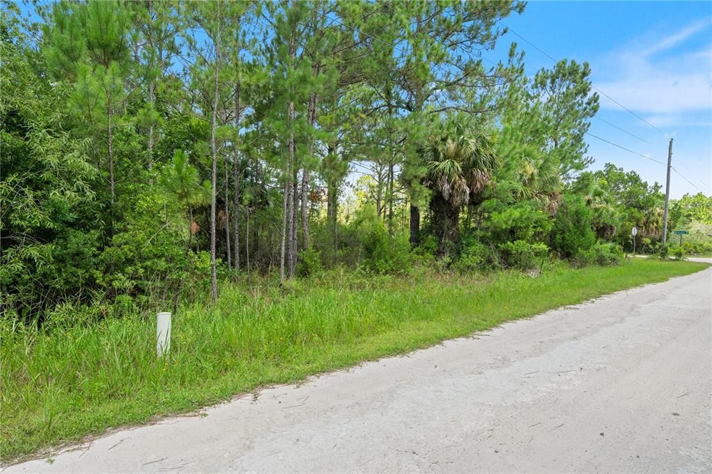 На продажу: $44,900 (1.21 acres)