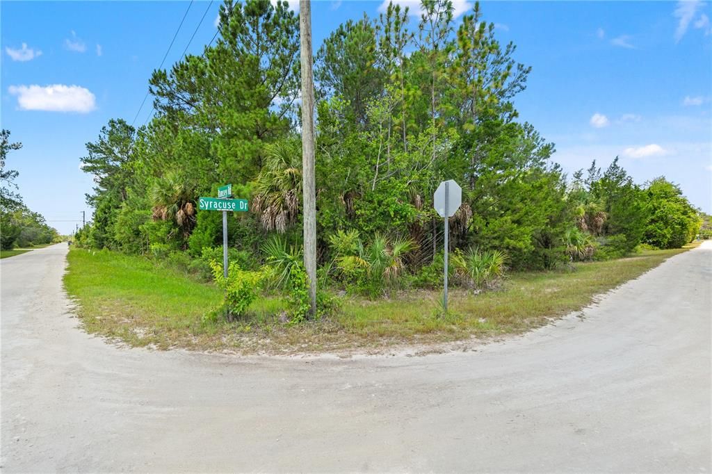 На продажу: $44,900 (1.21 acres)