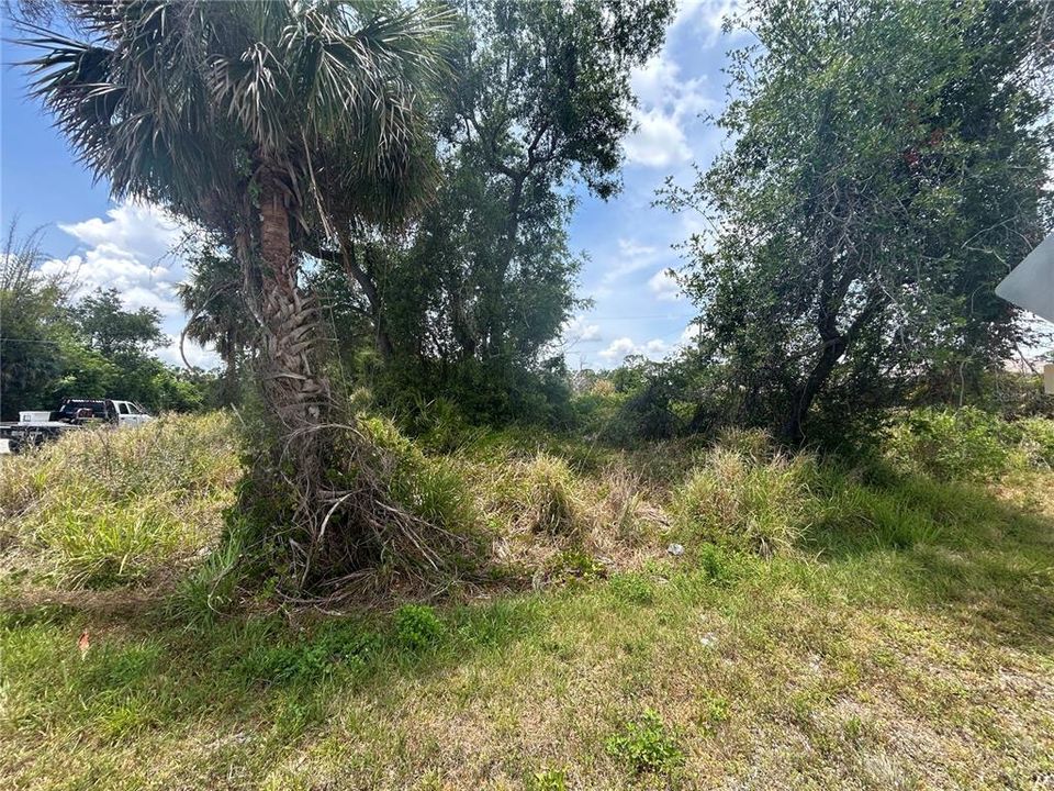En Venta: $24,900 (0.23 acres)