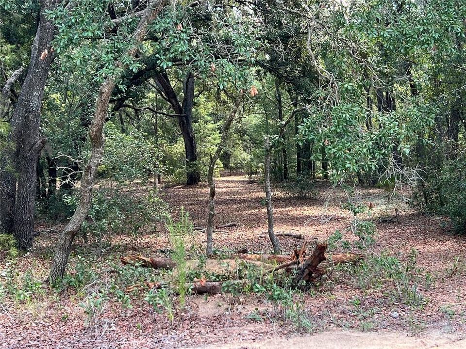 For Sale: $20,000 (0.25 acres)