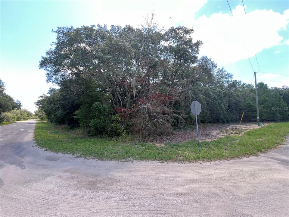 For Sale: $20,000 (0.25 acres)