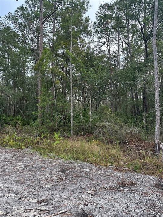 En Venta: $22,900 (0.26 acres)
