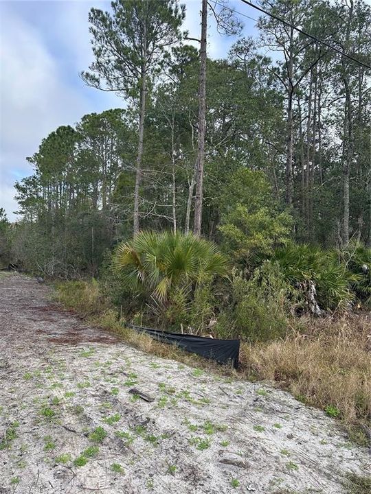 En Venta: $22,900 (0.26 acres)