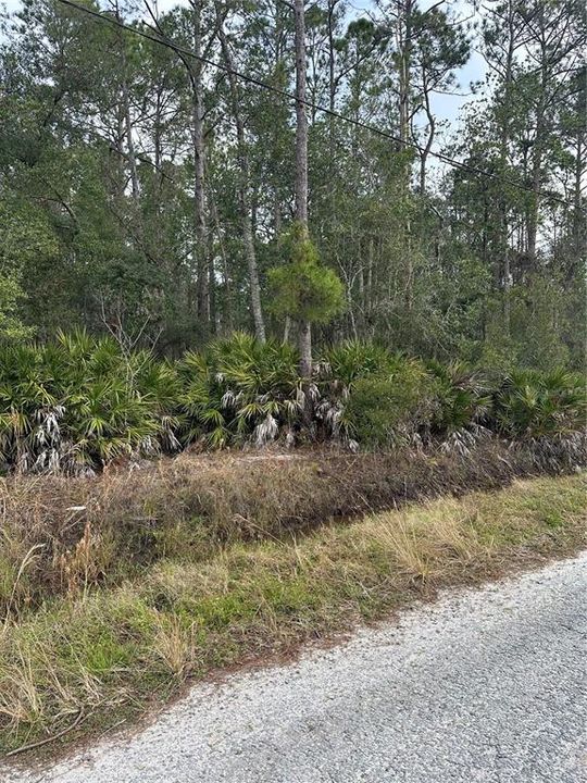 En Venta: $22,900 (0.26 acres)