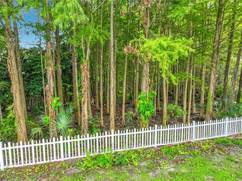 For Rent: $3,100 (4 beds, 3 baths, 2189 Square Feet)