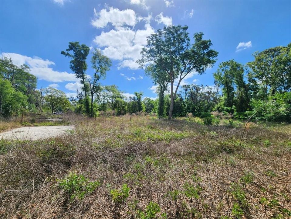 待售: $299,000 (1.00 acres)