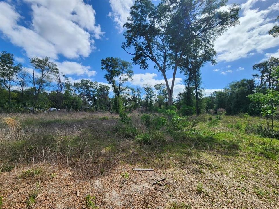 待售: $299,000 (1.00 acres)