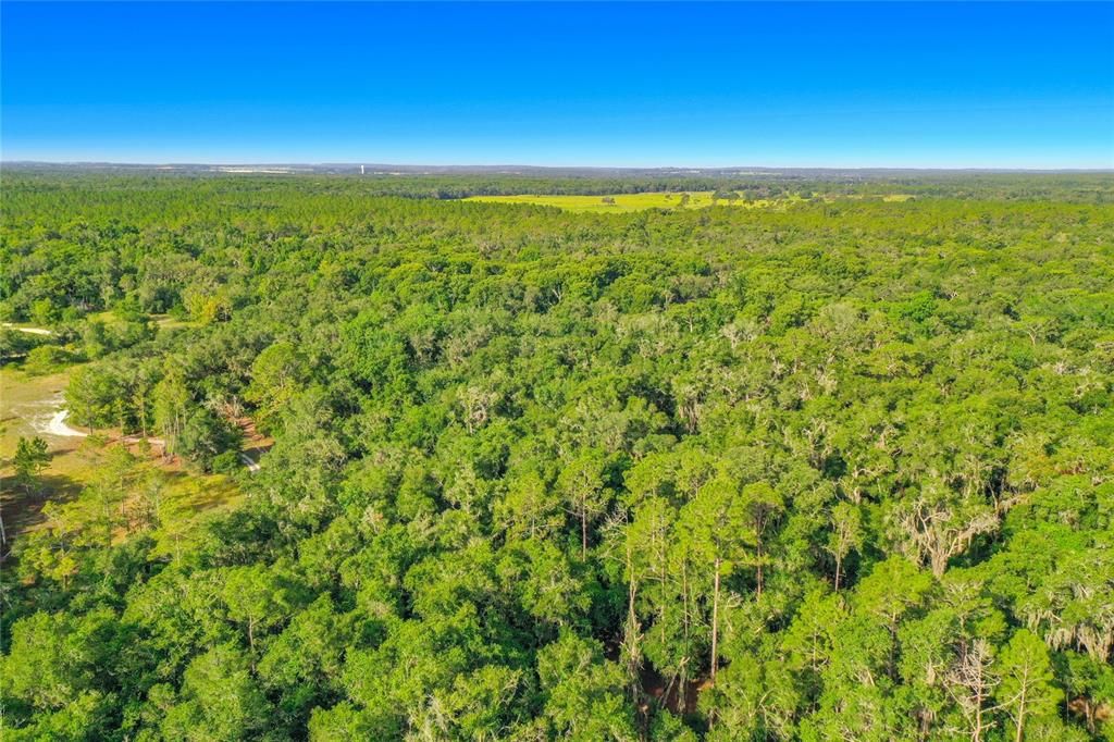 На продажу: $29,950 (1.16 acres)
