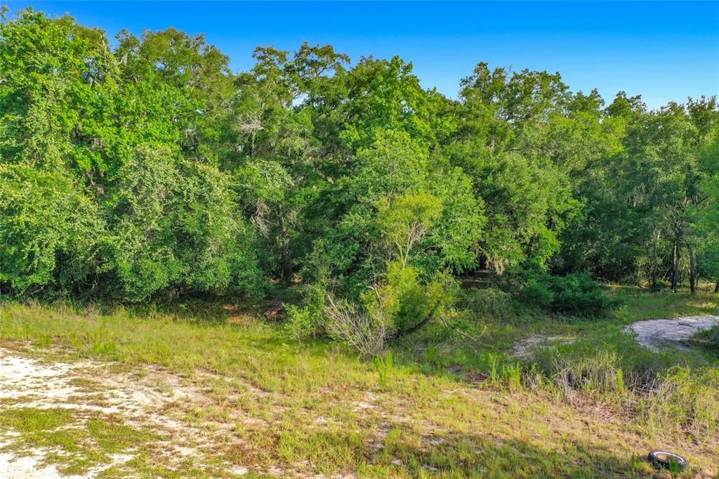 На продажу: $29,950 (1.16 acres)
