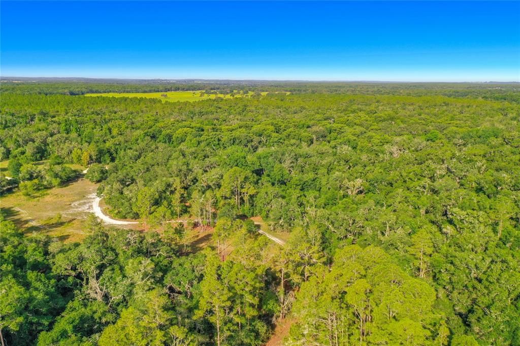 На продажу: $29,950 (1.16 acres)