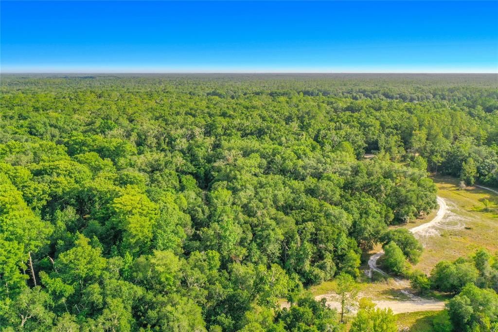 На продажу: $29,950 (1.16 acres)