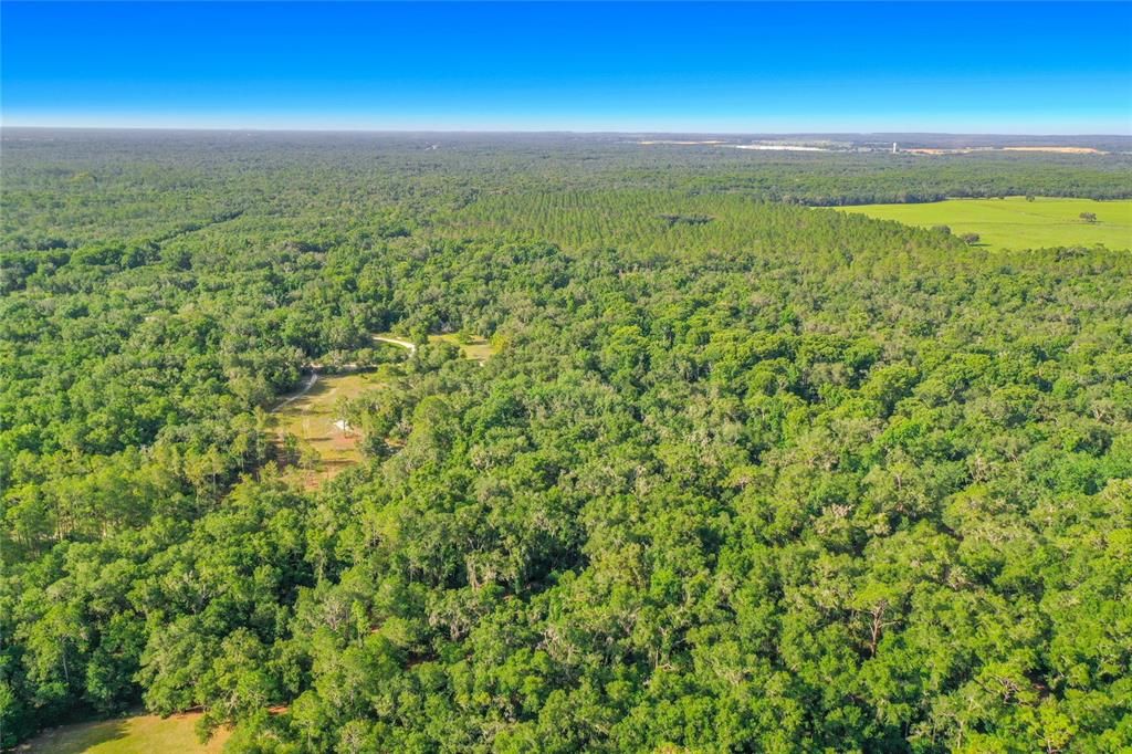 На продажу: $29,950 (1.16 acres)