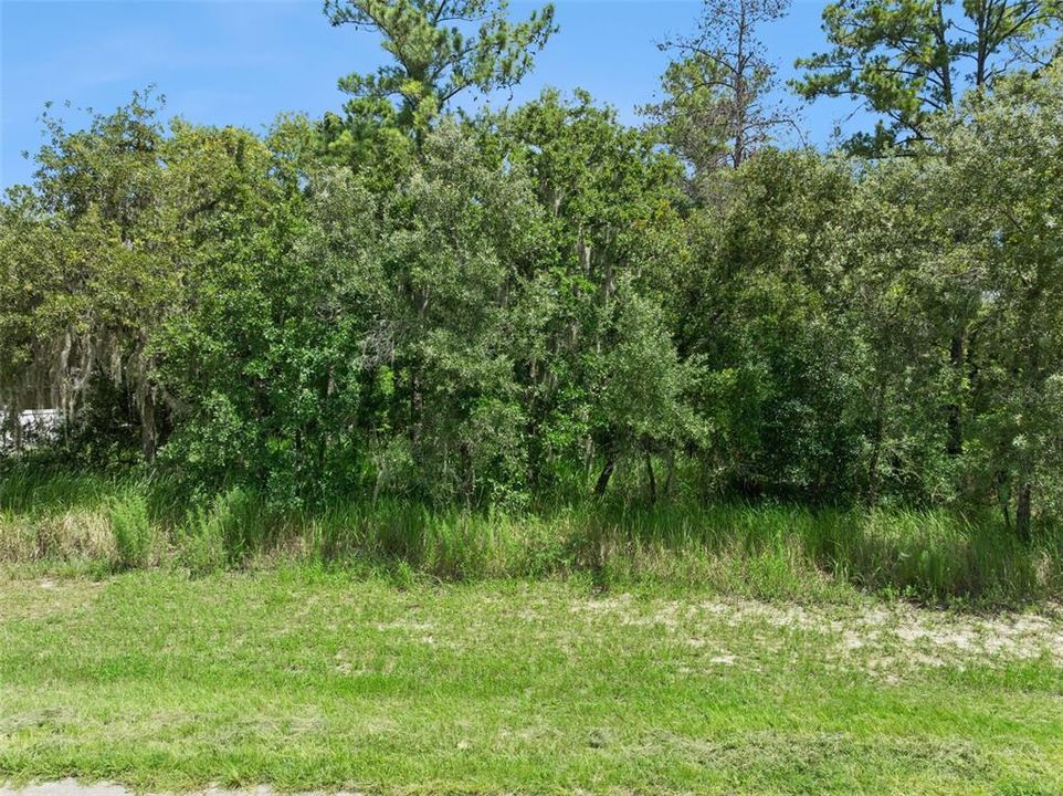 合同活跃: $45,000 (0.23 acres)