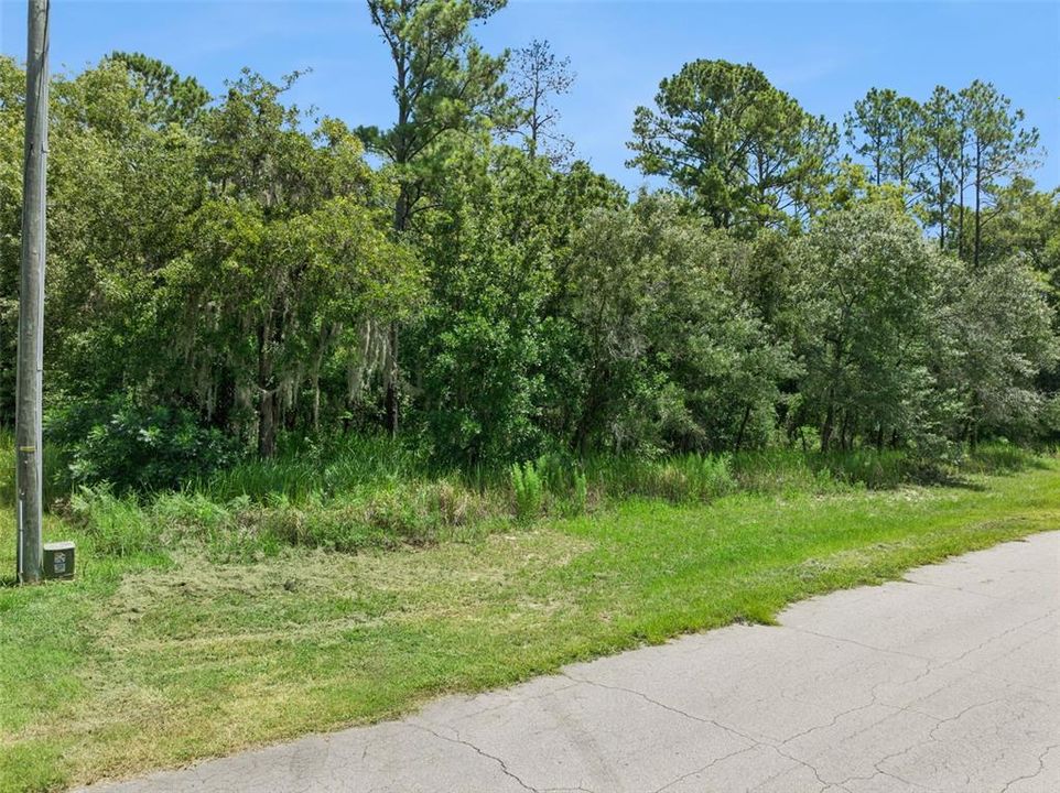 合同活跃: $45,000 (0.23 acres)
