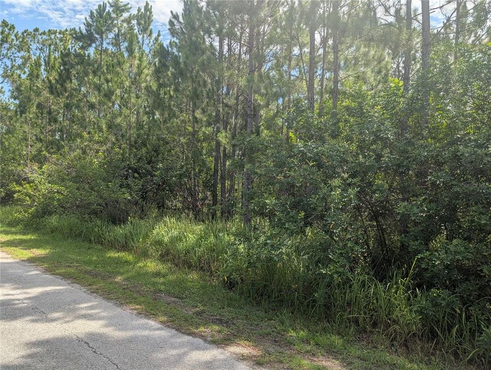 En Venta: $155,000 (0.50 acres)