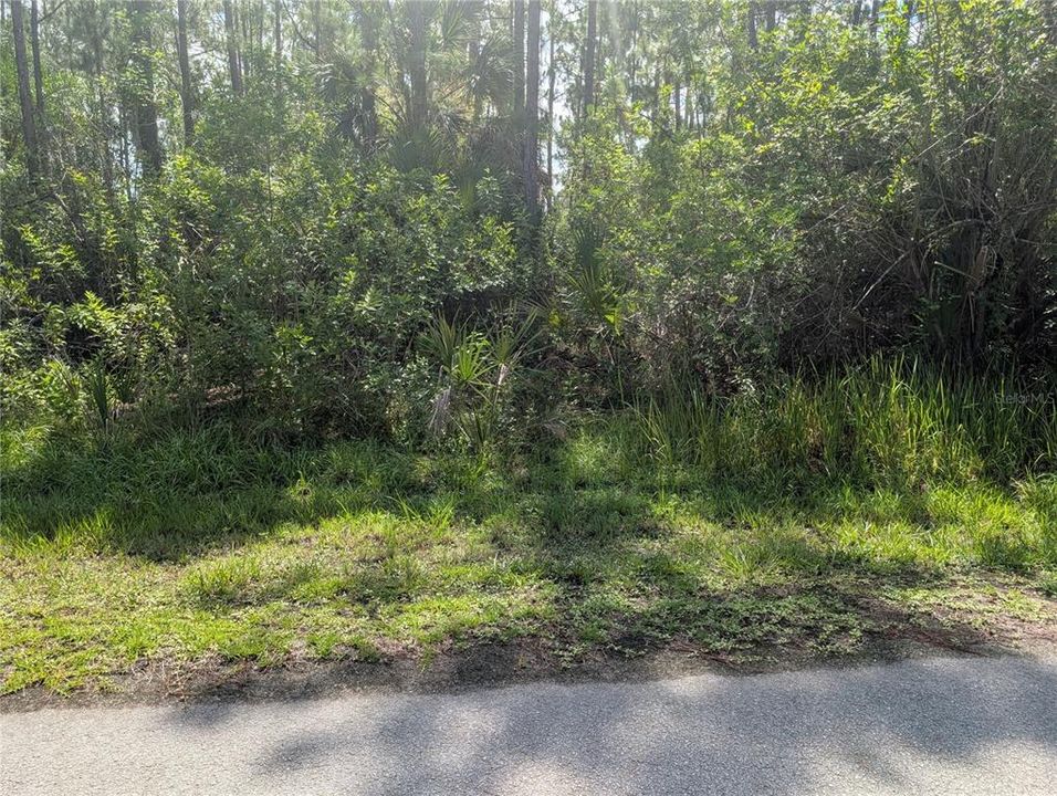 En Venta: $155,000 (0.50 acres)