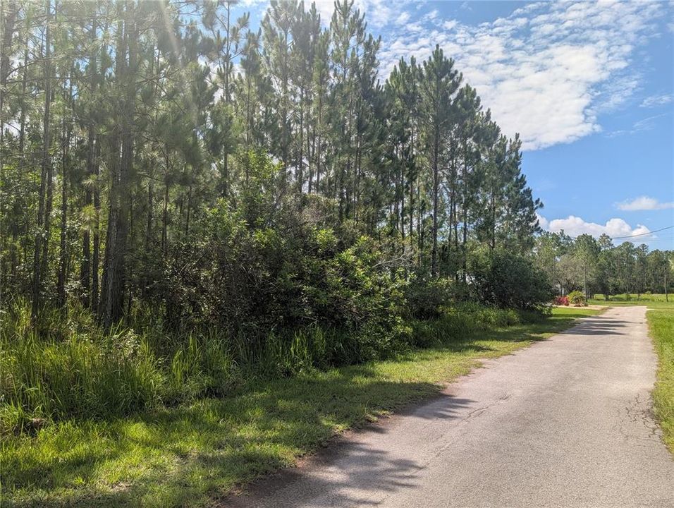 En Venta: $155,000 (0.50 acres)