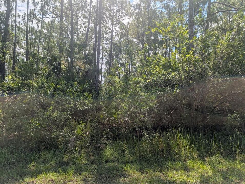 En Venta: $155,000 (0.50 acres)