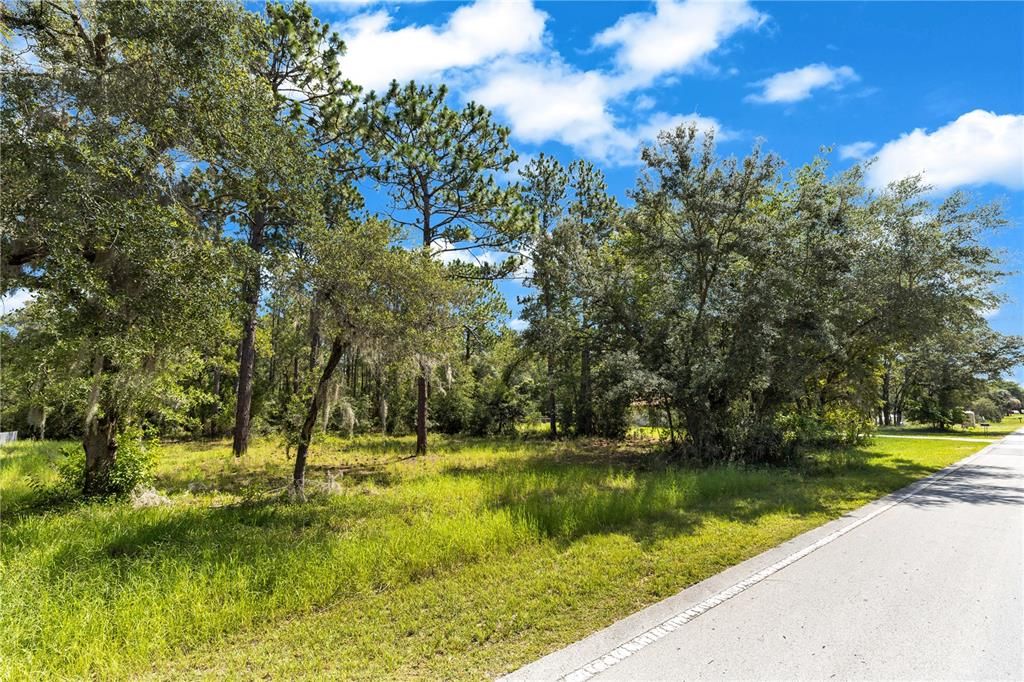 Activo con contrato: $34,900 (0.99 acres)