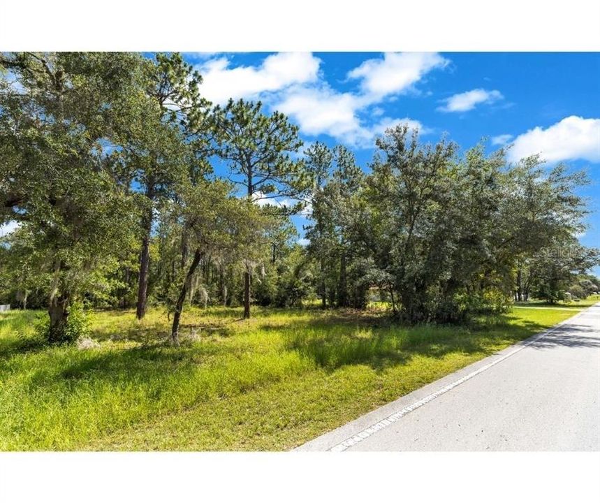 Activo con contrato: $34,900 (0.99 acres)