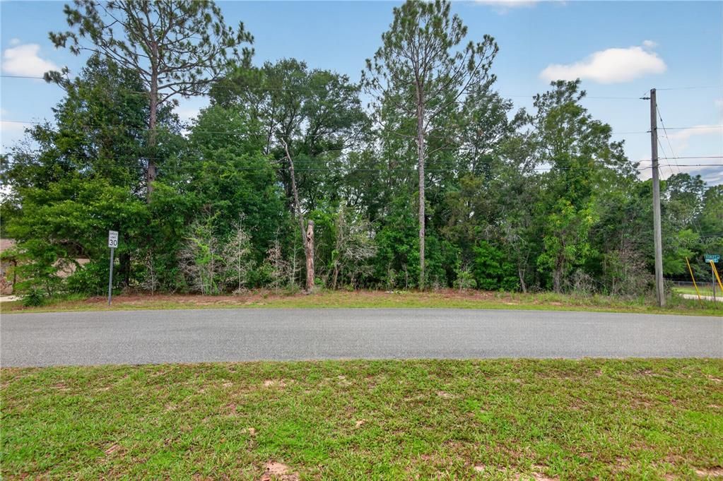 待售: $25,000 (0.31 acres)