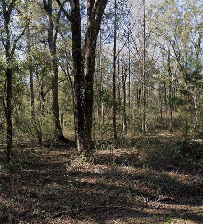 На продажу: $21,900 (1.14 acres)