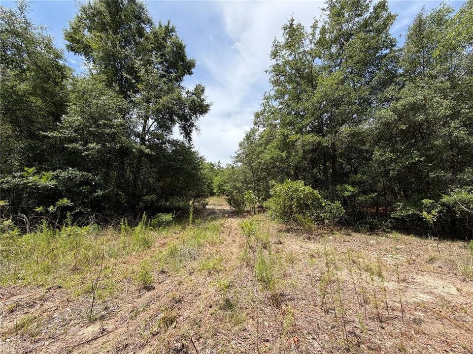 待售: $175,000 (5.07 acres)