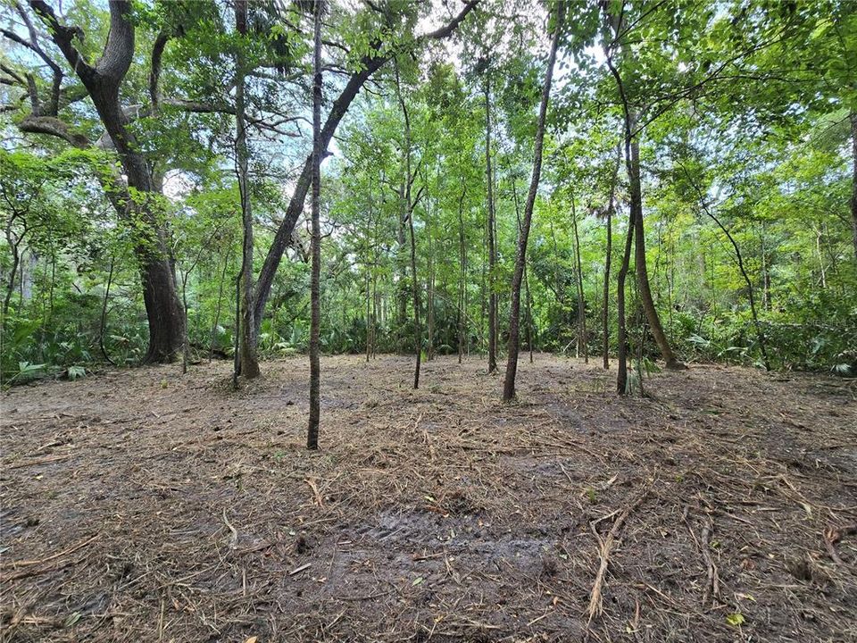 For Sale: $28,000 (0.69 acres)