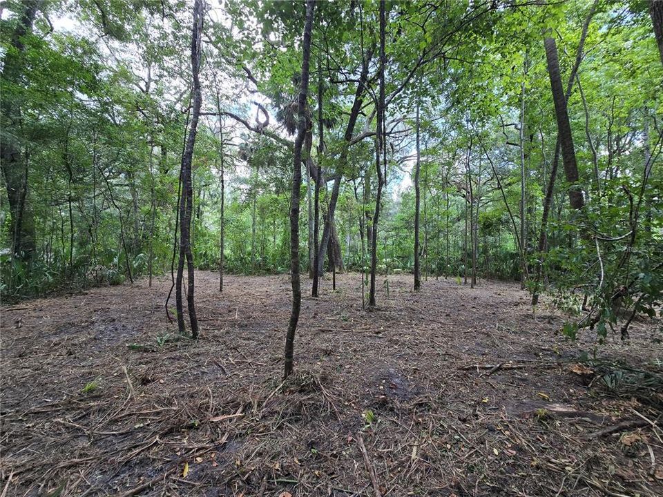 For Sale: $28,000 (0.69 acres)