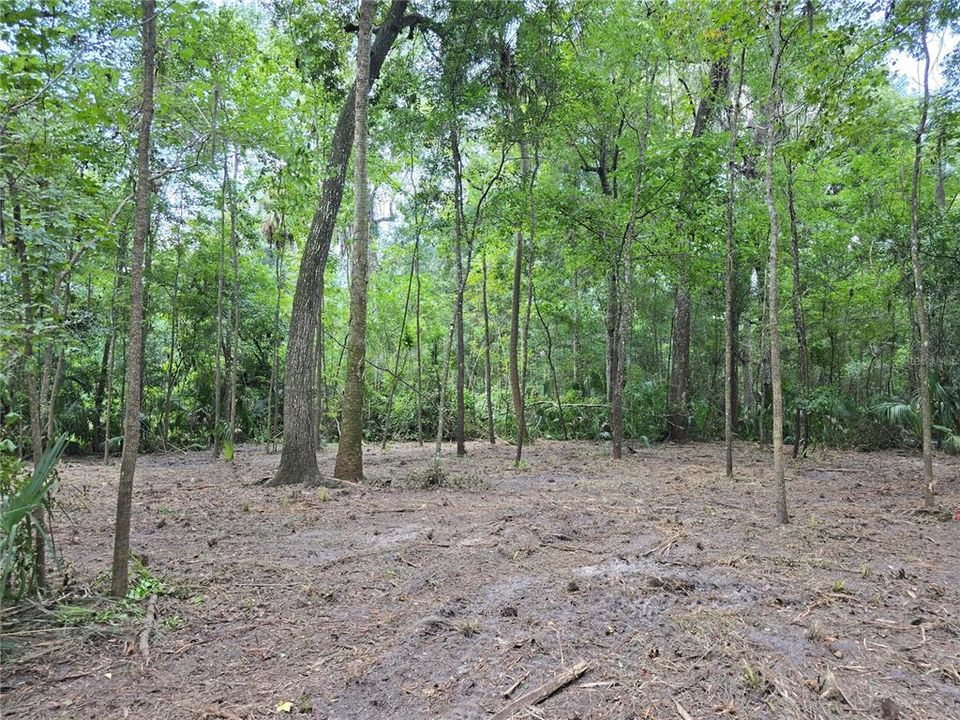For Sale: $28,000 (0.69 acres)
