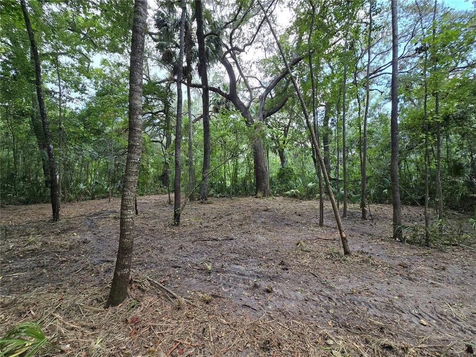 For Sale: $28,000 (0.69 acres)