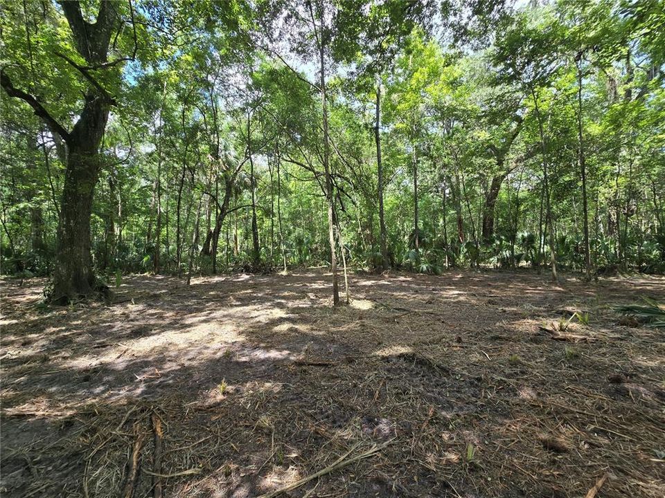 For Sale: $28,000 (0.69 acres)