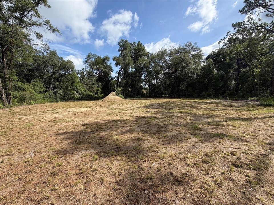 For Sale: $53,000 (1.16 acres)