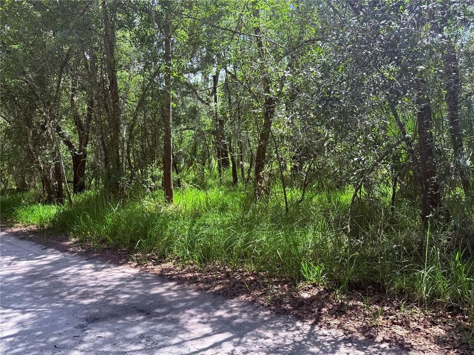 En Venta: $34,500 (1.40 acres)