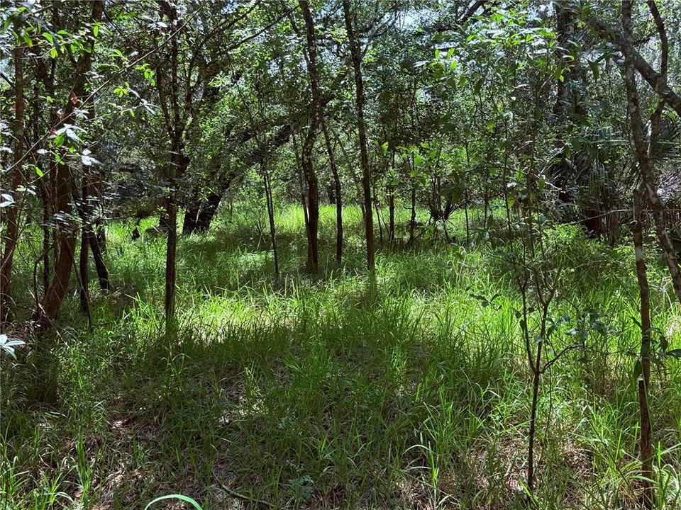 En Venta: $34,500 (1.40 acres)