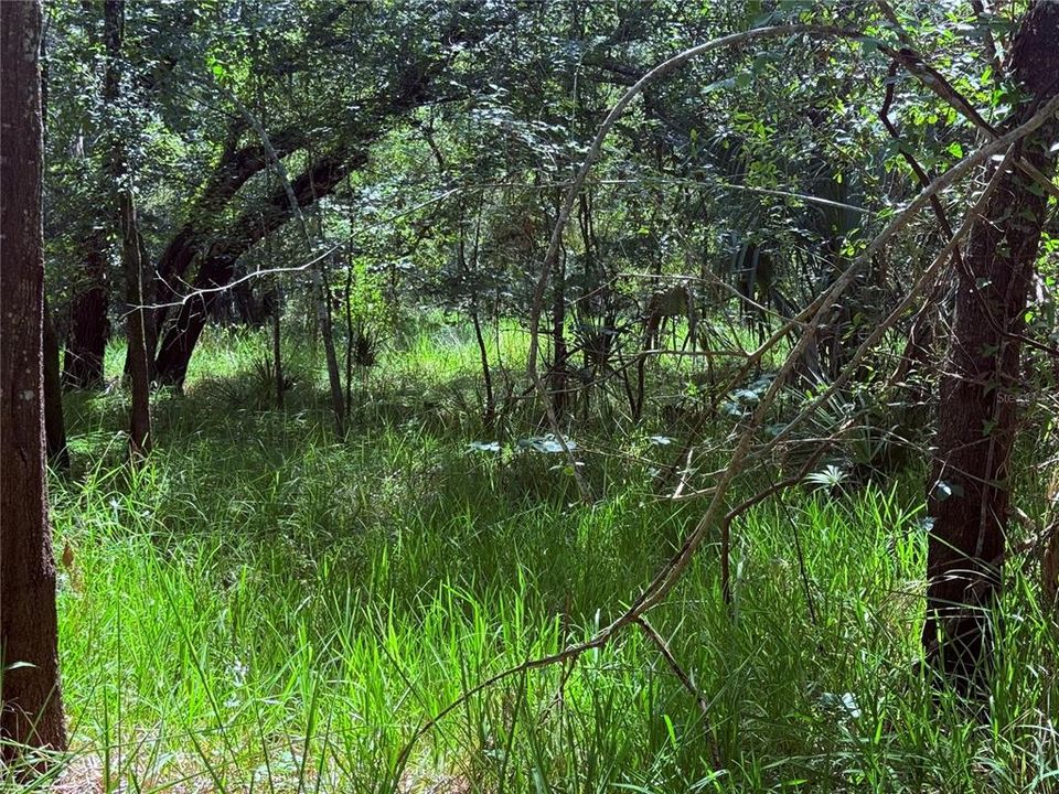 En Venta: $34,500 (1.40 acres)