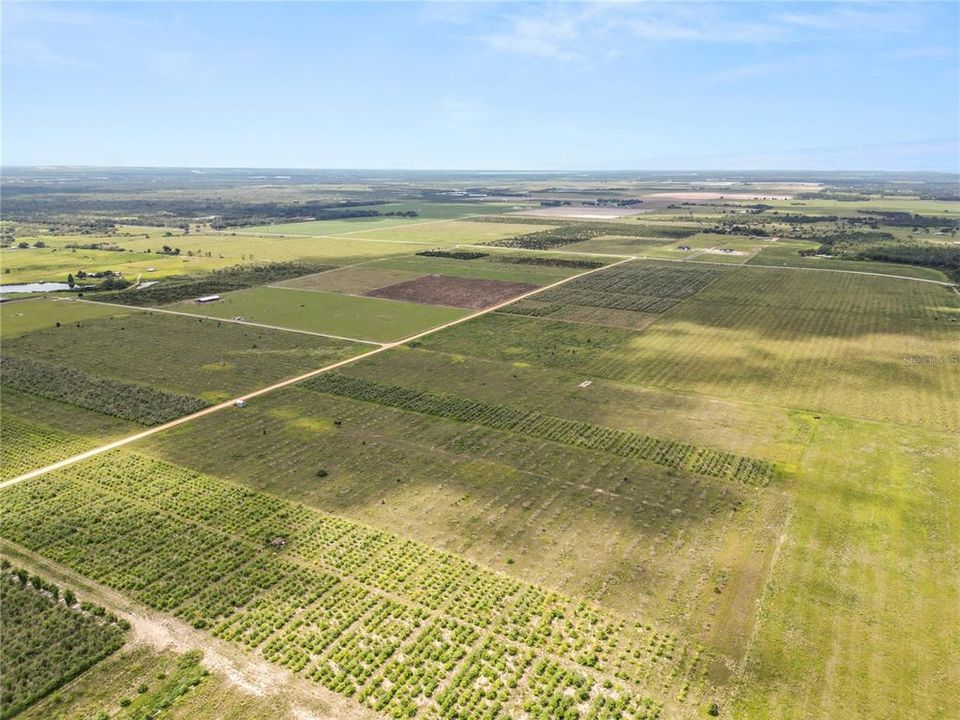 En Venta: $250,000 (9.98 acres)