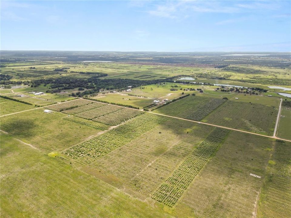 En Venta: $250,000 (9.98 acres)