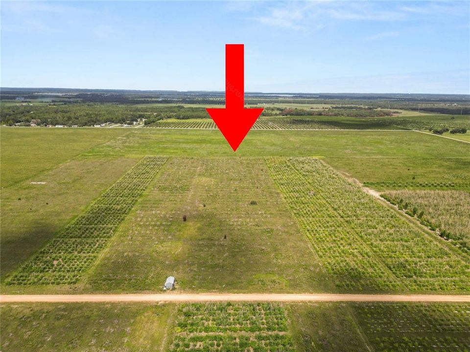 En Venta: $250,000 (9.98 acres)