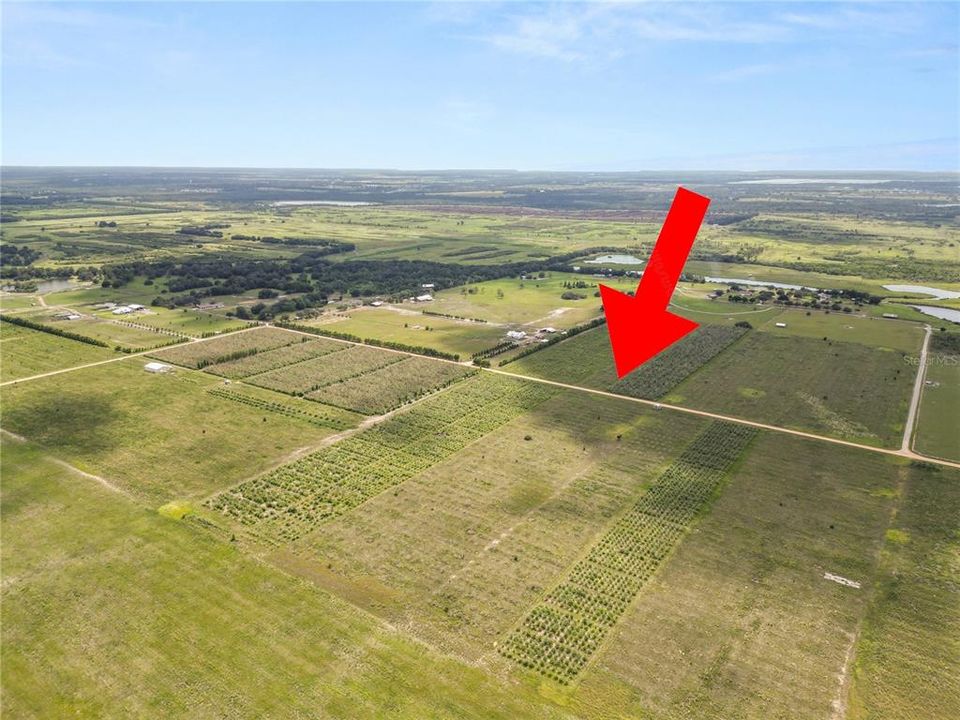 En Venta: $250,000 (9.98 acres)