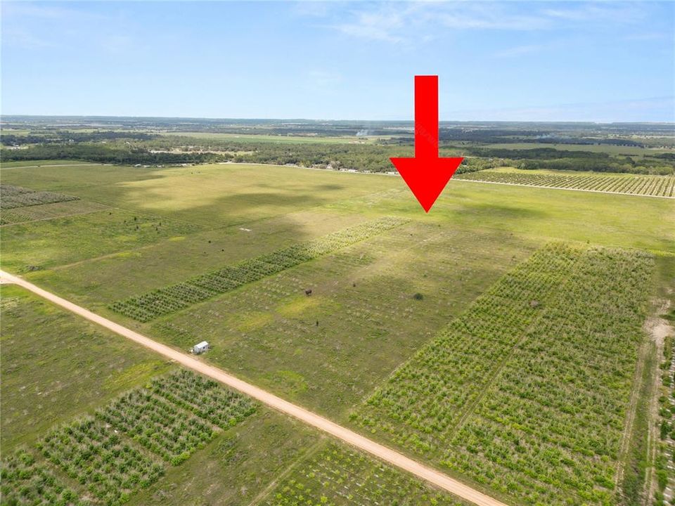 En Venta: $250,000 (9.98 acres)