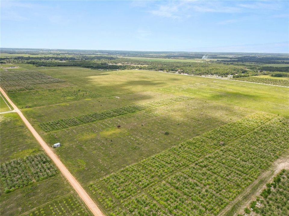 En Venta: $250,000 (9.98 acres)