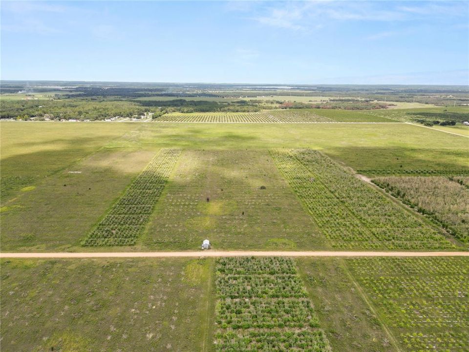En Venta: $250,000 (9.98 acres)