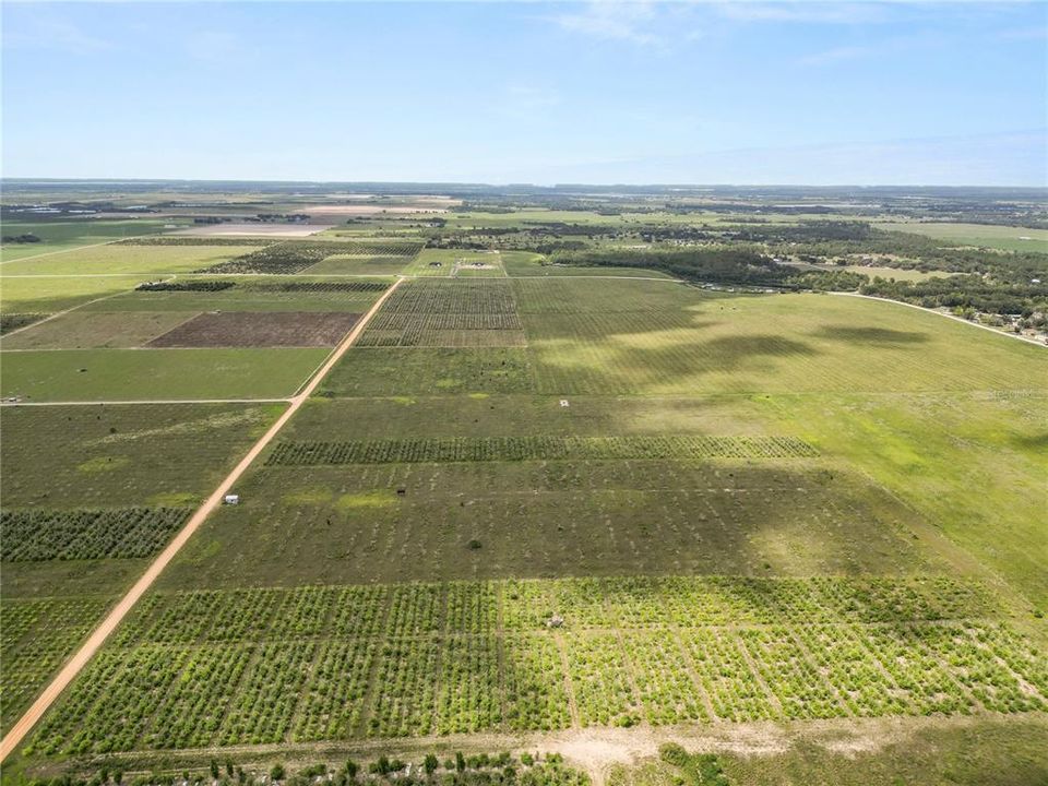 En Venta: $250,000 (9.98 acres)