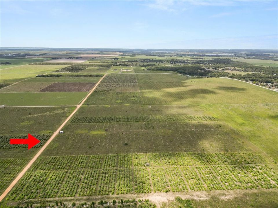 En Venta: $250,000 (9.98 acres)