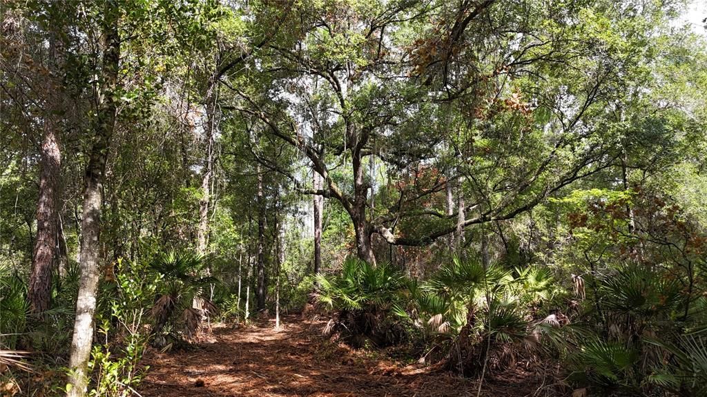 En Venta: $219,900 (11.01 acres)
