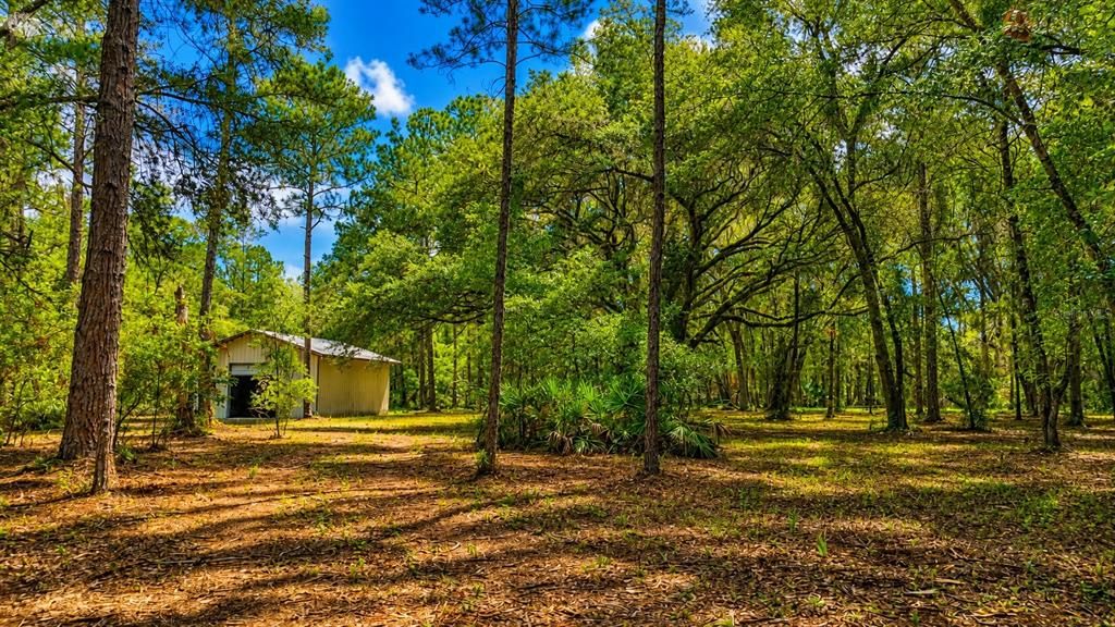 En Venta: $219,900 (11.01 acres)